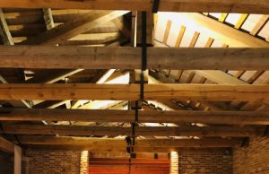 제80회 베니스국제영화제 개막