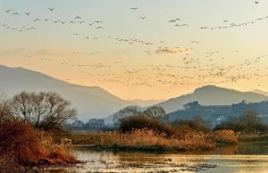 김해 ‘화포천습지’ 람사르습지도시 최종 후보지 선정