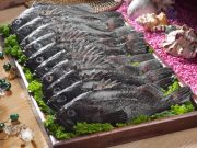 신안군, 제1회 섬 우럭축제 개최