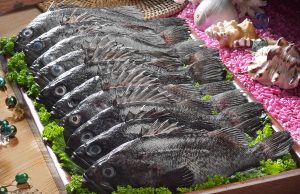 신안군, 제1회 섬 우럭축제 개최