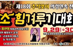 의령군, 추석맞이 소힘겨루기대회 개최