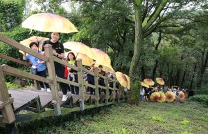 의령군, 리치리치페스티벌 다양한 홍보전략 추진