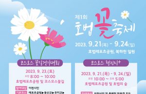 이천시, 호법의 숲 코스모스길 걷기 대회 개최