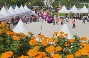 이천시, 제1회 호법 꽃 축제 성황리 개최