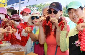 함양군, 제8회 백전오미자축제 16일 개최