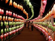 함양군, ‘함양산삼축제’ 성황리에 마무리