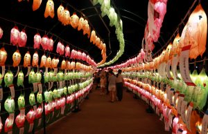 함양군, ‘함양산삼축제’ 성황리에 마무리