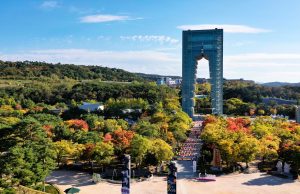경주엑스포대공원, 가울 단풍 명소 소개