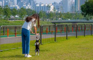 서울관광재단, 반려견 가족과 함께하는 양천구 가을 나들이