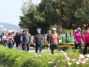 밀양시, 제5회 맑은공기 걷기대회 성황리에 개최