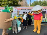 보성군, ‘제6회 우리동네 캐릭터 축제’ 개최