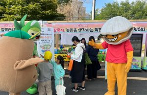 보성군, ‘제6회 우리동네 캐릭터 축제’ 개최