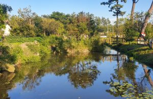 보성군, 숨어있는 향토문화유산 찾아낸다
