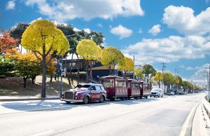 수원시, 산림청 인증 ‘모범 도시숲’으로 선정 발표