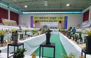 신안군, ‘2023 대한민국 자생란 대전’ 개최