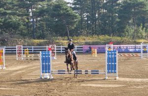 영천시, 제10회 영천대마기 전국종합마술대회 성료