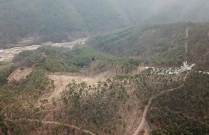 ‘의령 응봉산 황금부자숲’ 대한민국 100대 명품숲에 선정