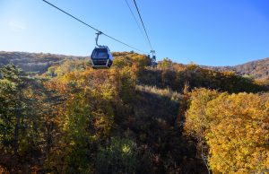 정선군, 관광지마다 인파 몰려 지역경제 활력