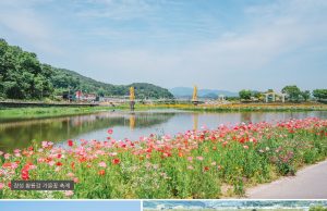 전남도, 가을 정취 만끽할 여행지 추천