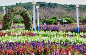 태안군, 2023 가을꽃박람회 성황리에 개최