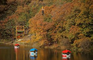 함안군, 입곡군립공원 가을 단풍객 맞이 만전