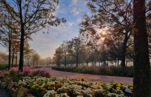 자연과 쉼이 하나 된 힐링 공간 함평 낙우송길