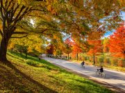 담양군 풍성한 관광 콘텐츠 개발 추진