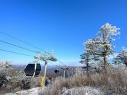 정선, 상고대 내려앉은 가리왕산 케이블카 설경 장관