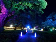 성주군 성밖숲, ‘대한민국 밤밤곡곡 100’ 최종 선정