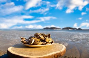 장흥군, 미식과 건강 여행상품 홈쇼핑서 판매