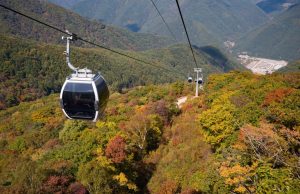 정선 가리왕산 케이블카, 교통약자 가을 관광 인기