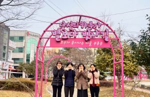 목포시 부흥동, 장미의거리 사진찍기 좋은 명소로 화려한 변신