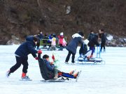 영양군, 제1회 영양 꽁꽁 겨울축제 개최