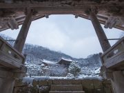 영주시, 단체관광객 유치 여행사 인센티브 지원 확대