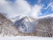 울릉도 눈 축제 눈썰매장 임시 개장