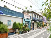 정선군, 야생화가 피어나는 빛의 도시로 재탄생