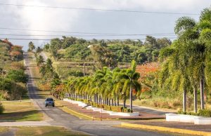 카모아, 사이판 이웃섬 티니안·로타 렌트카 예약 서비스 오픈