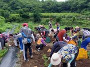 공주시, 농촌체험휴양마을 방문객 51.8% 급증