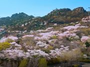 목포시, 2024년 더욱 다채롭고 풍성한 축제·행사 개최