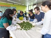 보성군, 제47회 보성다향대축제 개최