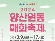 “양산 원동매화축제 이제 쉽게 갈 수 있어요”