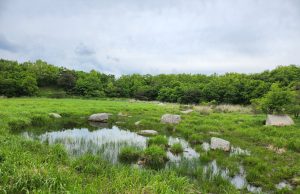 ‘양산 능걸산 산지습지’로 명칭 변경