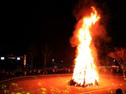 영양군, 정월대보름 달맞이 행사 열려