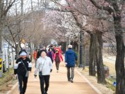 영주시, 3월부터 ‘걷기 챌린지’ 운영