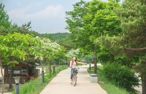3월, 여행하기 딱 좋은 곳 ‘경북 영주’