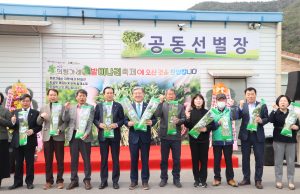 봄의 시작 알리는 의령 가례 밭미나리 축제 개최