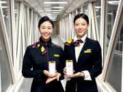 진에어, 모바일 탑승권 이용 큰 폭으로 증가