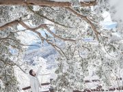 평창군, ‘2024 여행가는 달’ 캠페인 진행