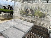 함평나비대축제 나비 날갯짓 준비 한창