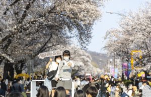 안동시, 풍성한 봄축제로 도시를 물들인다